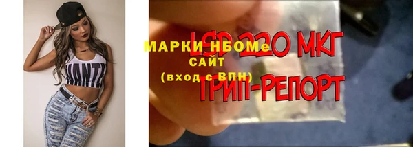 прущий лед Арсеньев