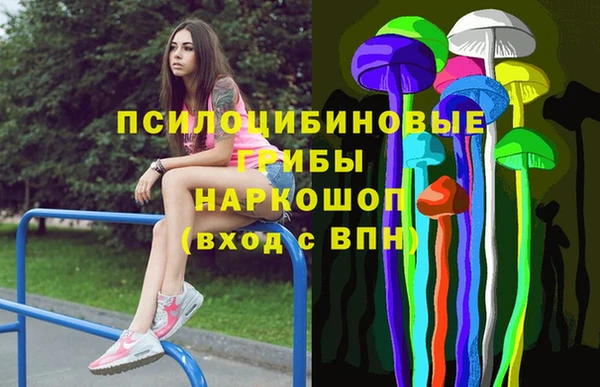 прущий лед Арсеньев