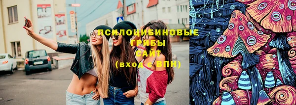 прущий лед Арсеньев